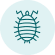 Head Lice icon